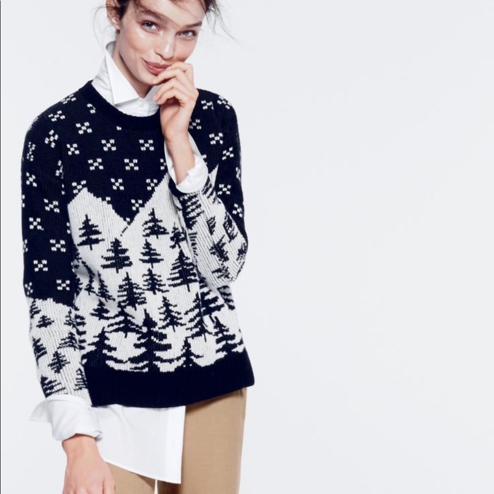 NWOT J.crew cabin sweater